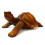 La grande statua di tartarughe di terra giganti delle Galapagos, l'intaglio del legno di acquisto.