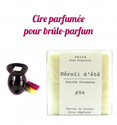 Brule Parfum A Bougie En Terre Cuite Forme Chat Coloris Gris