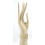 La grande mano di Buddha / Display casella di gioielli in legno massello H40cm bianco spazzolato