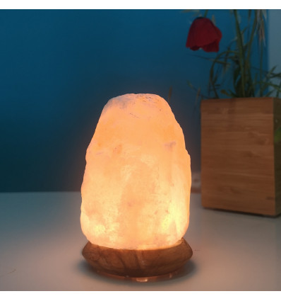 Lampe Cristal de Sel de l'Himalaya 12cm/ 600g aux Vertus Purifiantes