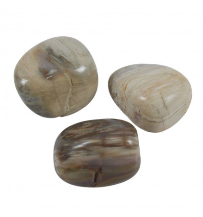 Silicified Petrified Petrified Fossilized Wood Rollstones - Rolled Stones 40/50g