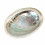 Abalone Shell / Natural Abalone 10-12cm