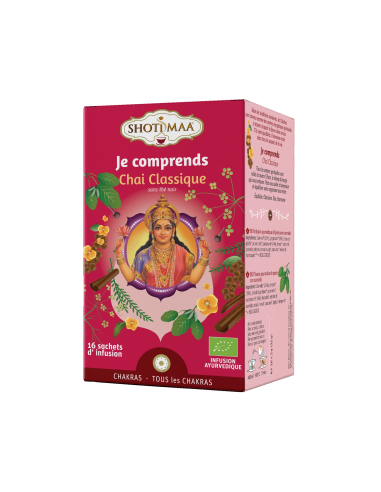 Organic herbal tea Chai Ayurvedic infusion "I understand" cinnamon ginger Shoti Maa.