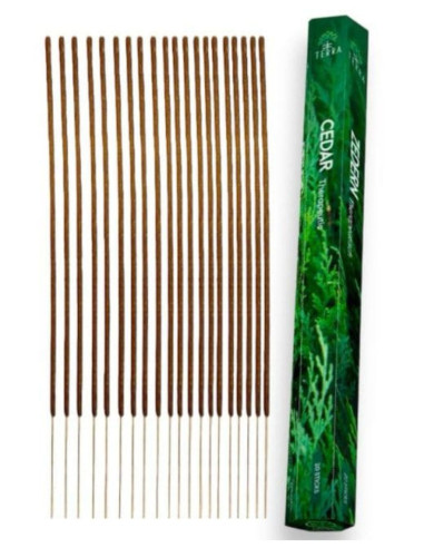 Cedar Charcoal-Free Incense 20 Sticks | Terra