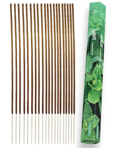 Charcoal Mint Free Incense 20 Sticks | Terra