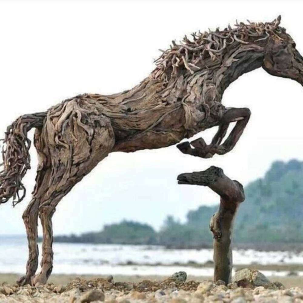 Radice di legno all'ingrosso con scultura di decorazione dell'acquario di  Driftwood di roccia ardesia - Cina Radice e radice del serbatoio di pesce  prezzo